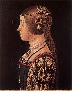 Portrait of Barbara Pallavicino, ARALDI, Alessandro